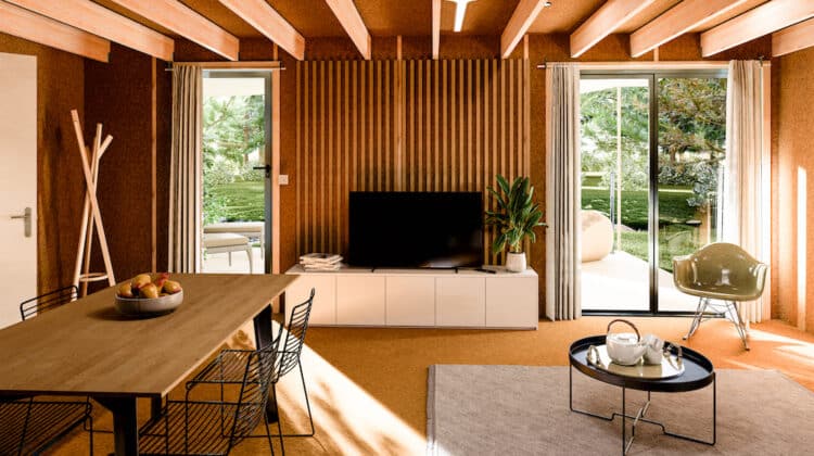 Équipements de divertissement pour un studio de jardin loué