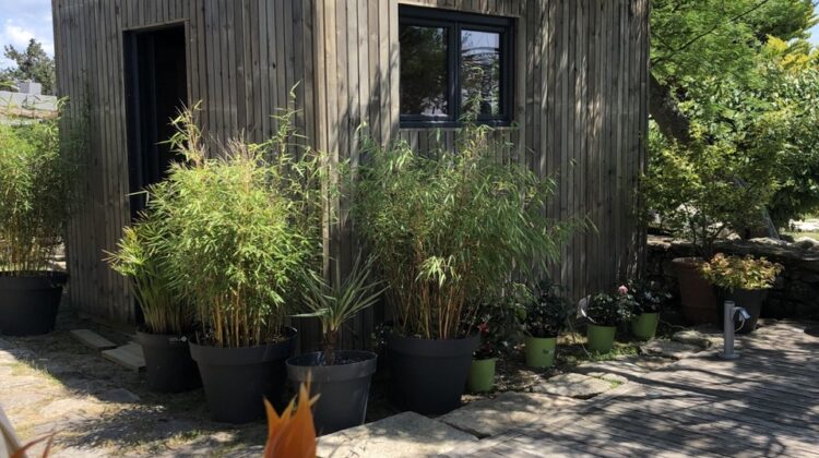Studio de jardin 11,5m²