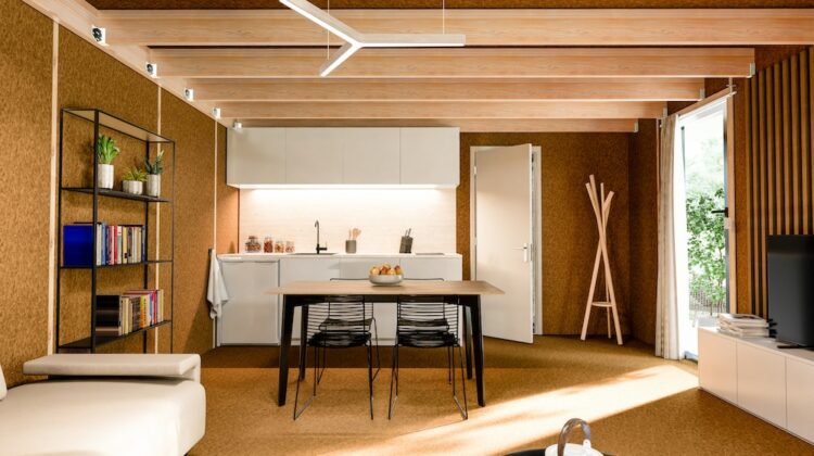 Comment choisir la taille idéale pour un studio de jardin ?